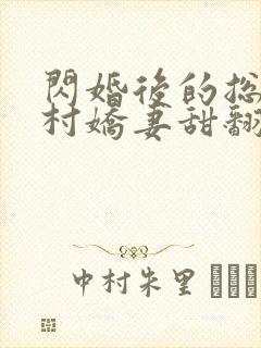 闪婚后的总裁农村娇妻甜翻了全集