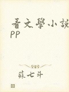 看文学小说的app