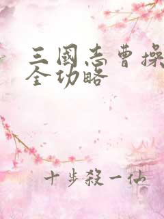 三国志曹操传完全功略