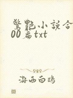 惊艳小说合集500篇txt