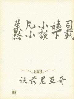 叶凡小姨司空嫣然小说下载