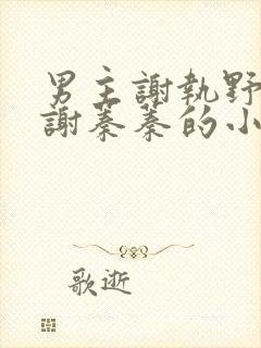 男主谢执野女主谢蓁蓁的小说