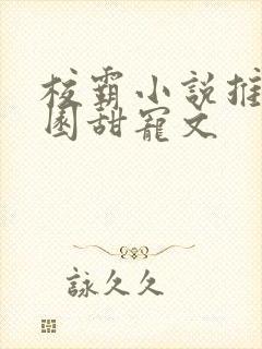 校霸小说推荐校园甜宠文