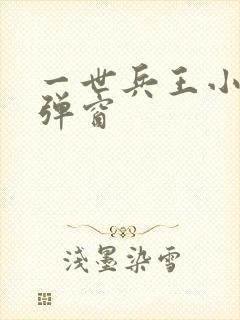 一世兵王小说无弹窗