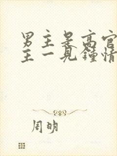 男主是高官对女主一见钟情