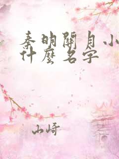 秦明关月小说叫什么名字