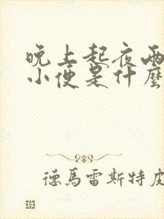 晚上起夜两三次小便是什么原因