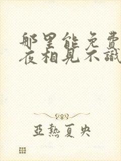 那里能免费看夜夜相见不识君短剧