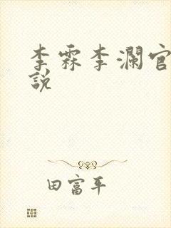 李霖李澜官场小说