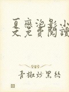 夏恋泡影小说全文免费阅读最新章节