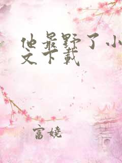 他最野了小说全文下载