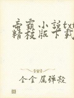 帝霸小说txt精校版下载