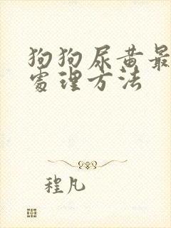 狗狗尿黄最简单处理方法