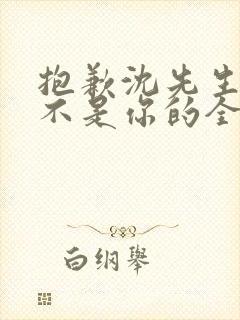 抱歉沈先生孩子不是你的全集免费