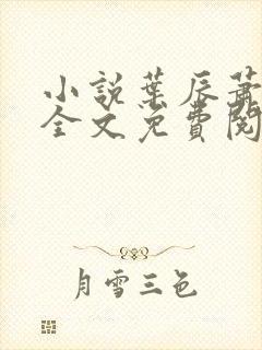 小说叶辰萧初然全文免费阅读