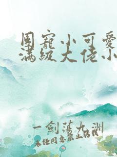 团宠小可爱成了满级大佬小说全文