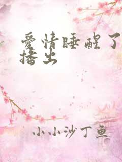 爱情睡醒了哪年播出