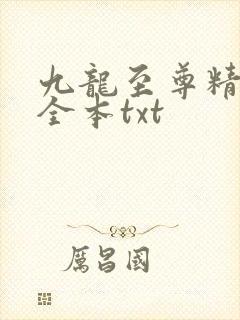 九龙至尊精校版全本txt