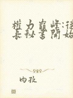 权力巅峰:从县长秘书开始全文