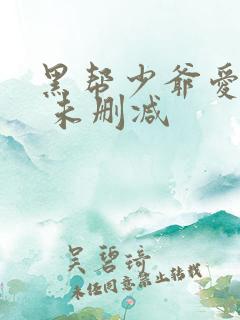 黑帮少爷爱上我 未删减