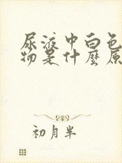 尿液中白色絮状物是什么原因