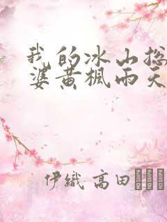 我的冰山总裁老婆黄枫雨天