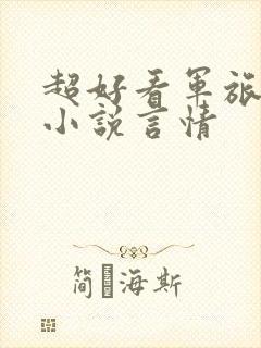 超好看军旅甜文小说言情