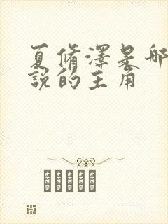 夏修泽是哪本小说的主角