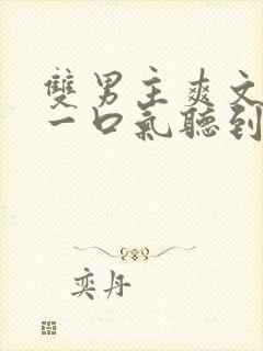 双男主爽文小说一口气听到结局