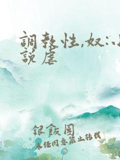 调教性,奴:小说虐