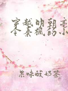 穿越明朝亳州县令秦枫的小说