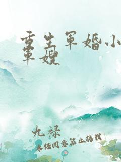 重生军婚小神医军嫂
