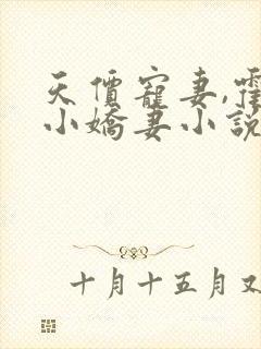 天价宠妻,霍总小娇妻小说免费