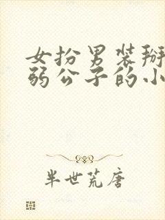 女扮男装掰弯病弱公子的小说