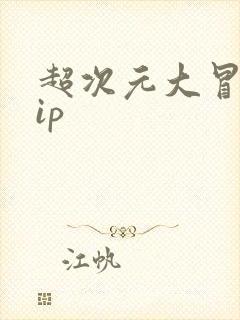 超次元大冒险vip