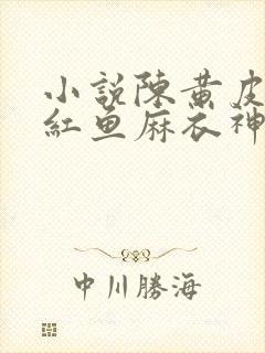 小说陈黄皮,叶红鱼麻衣神婿