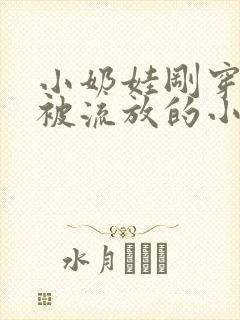 小奶娃刚穿越就被流放的小说