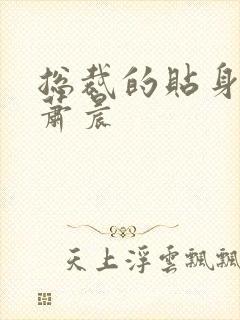 总裁的贴身兵王萧晨