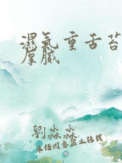 湿气重舌苔发黄厚腻