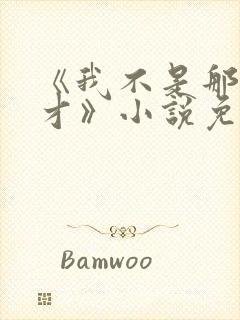 《我不是那种人才》小说免费阅读