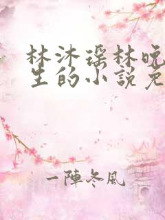 林沐瑶林晚晴重生的小说免费阅读