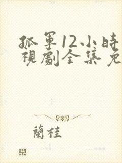 孤军12小时电视剧全集免费播放