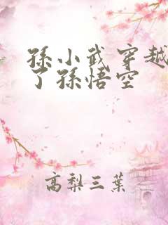 孙小武穿越成为了孙悟空