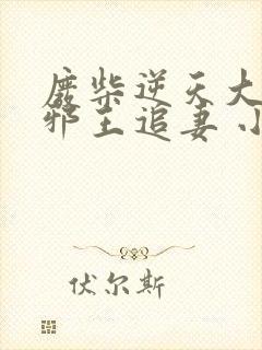 废柴逆天大小姐邪王追妻 小说