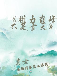 《权力巅峰之我不是青天》