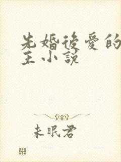 先婚后爱的双男主小说