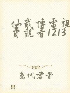 仙武传电视剧免费观看1213