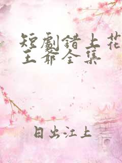 短剧错上花轿嫁王爷全集