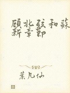 顾北弦和苏o最新章节