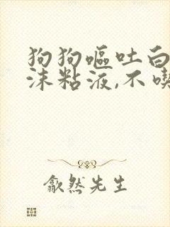 狗狗呕吐白色泡沫粘液,不吃东西